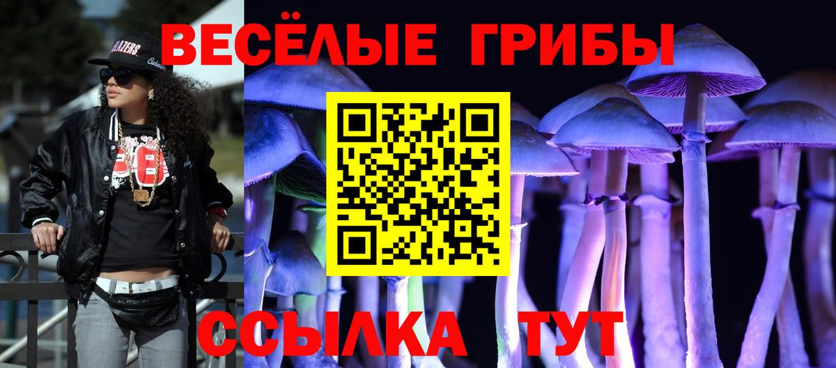 Канаш  Галлюциногенные грибы Cubensis  Вход с VPN 